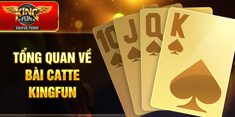 Tổng quan về bài Catte KINGFUN